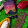 Product Lifestyle - TLM Products-35 Artisan chocolate lifestyle photography on cacao leaves and pods