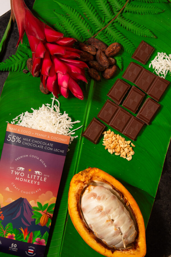 Product Lifestyle - TLM Products-36 Artisan chocolate lifestyle photography on cacao leaves and pods