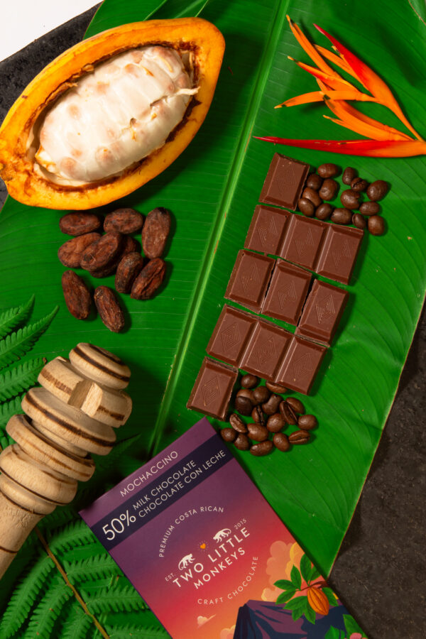 Product Lifestyle - TLM Products-37 Artisan chocolate lifestyle photography on cacao leaves and pods