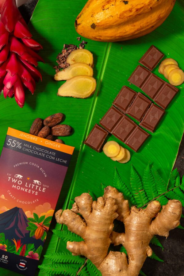 Product Lifestyle - TLM Products-38 Artisan chocolate lifestyle photography on cacao leaves and pods