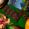 Product Lifestyle - TLM Products-39 Artisan chocolate lifestyle photography on cacao leaves and pods