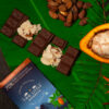 Product Lifestyle - TLM Products-41 Artisan chocolate lifestyle photography on cacao leaves and pods