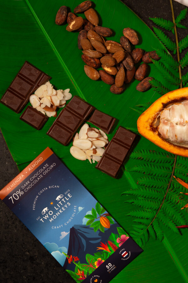 Product Lifestyle - TLM Products-41 Artisan chocolate lifestyle photography on cacao leaves and pods