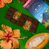 Product Lifestyle - TLM Products-42 Artisan chocolate lifestyle photography on cacao leaves and pods