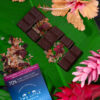 Product Lifestyle - TLM Products-43 Artisan chocolate lifestyle photography on cacao leaves and pods