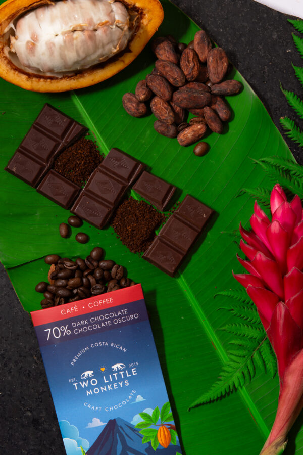 Product Lifestyle - TLM Products-44 Artisan chocolate lifestyle photography on cacao leaves and pods
