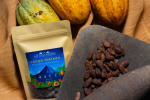 Artisan chocolate lifestyle photography on cacao leaves and pods