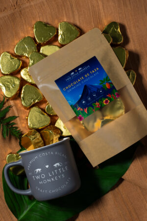 Artisan chocolate lifestyle photography on cacao leaves and pods