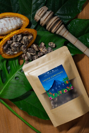 Artisan chocolate lifestyle photography on cacao leaves and pods