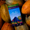 Product Lifestyle - TLM Products-58 Artisan chocolate lifestyle photography on cacao leaves and pods