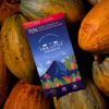 Product Lifestyle - TLM Products-59 Artisan chocolate lifestyle photography on cacao leaves and pods
