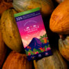 Product Lifestyle - TLM Products-60 Artisan chocolate lifestyle photography on cacao leaves and pods