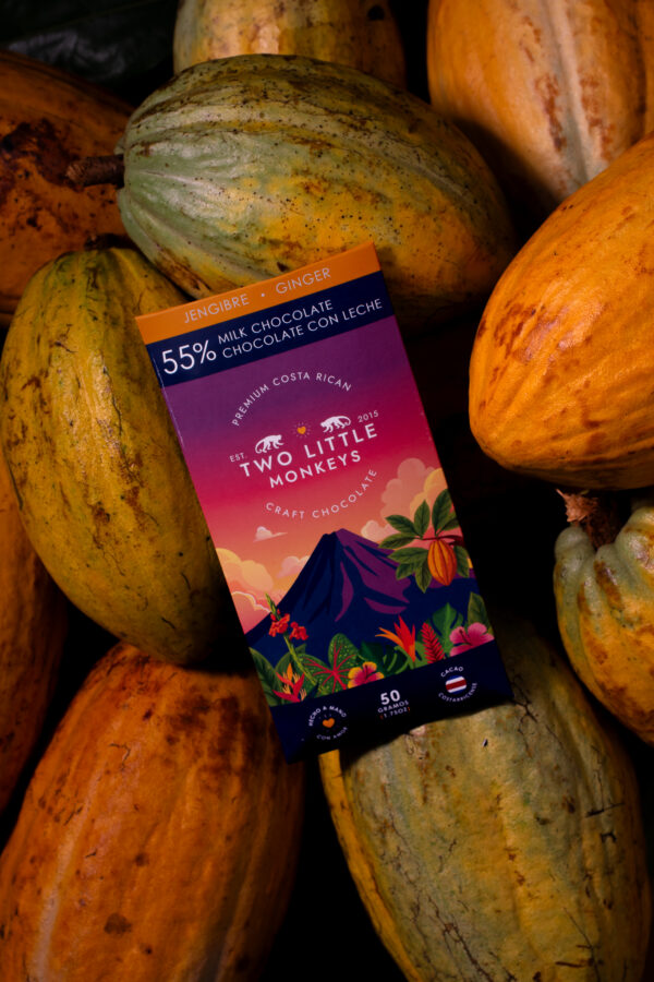 Product Lifestyle - TLM Products-61 Artisan chocolate lifestyle photography on cacao leaves and pods
