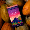 Product Lifestyle - TLM Products-62 Artisan chocolate lifestyle photography on cacao leaves and pods