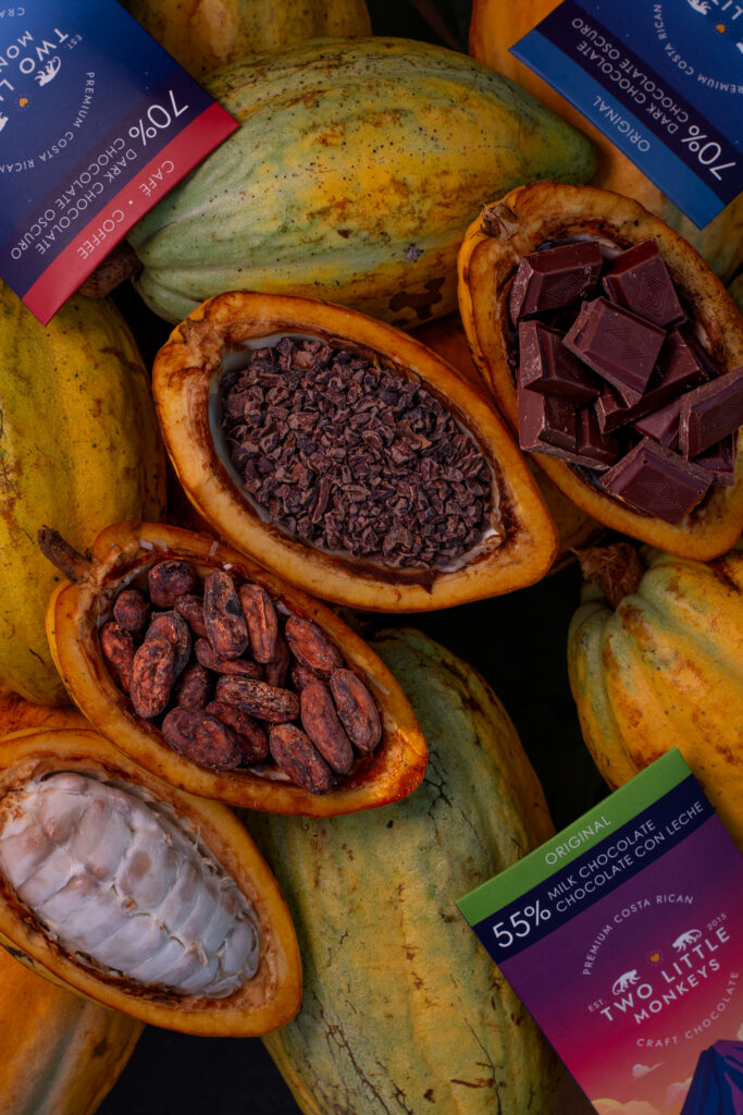 Artisan chocolate lifestyle photography on cacao leaves and pods