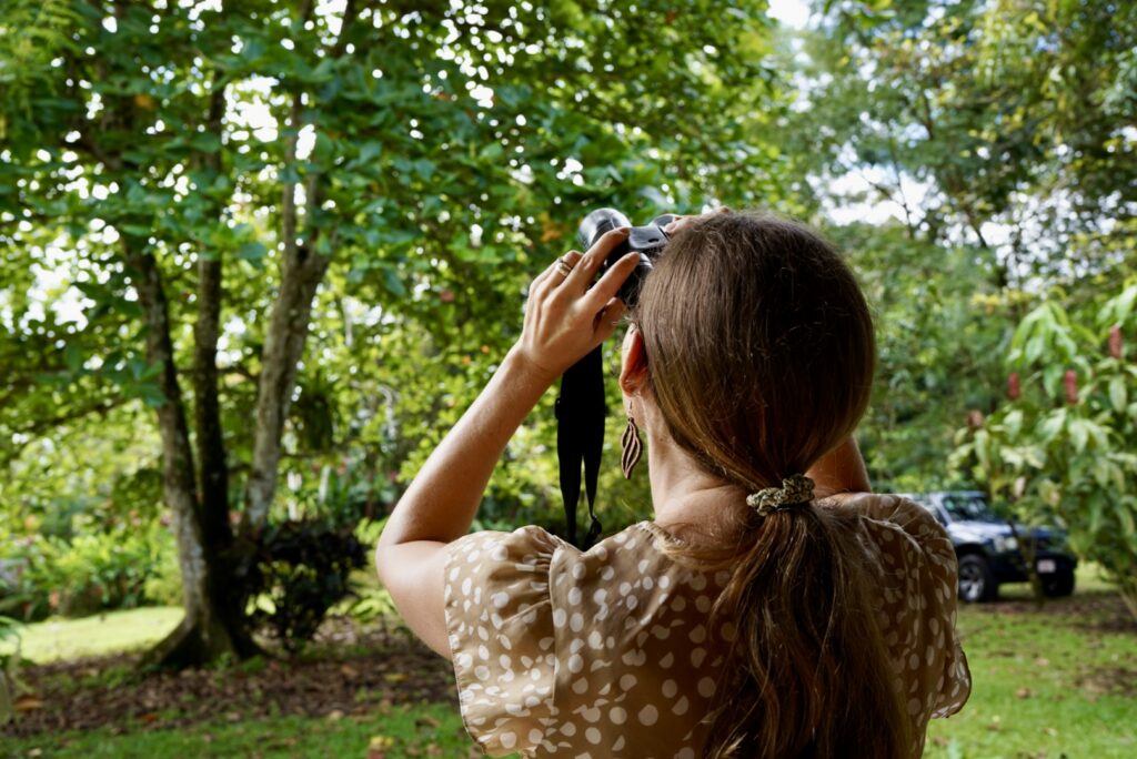 Visitors exploring the organic cacao farm and tropical canopy