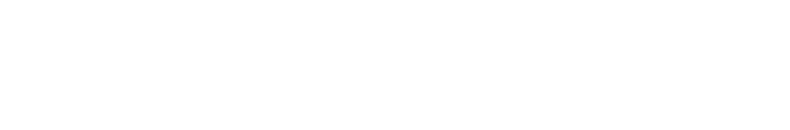 Two Little Monkeys horizontal wordmark logo