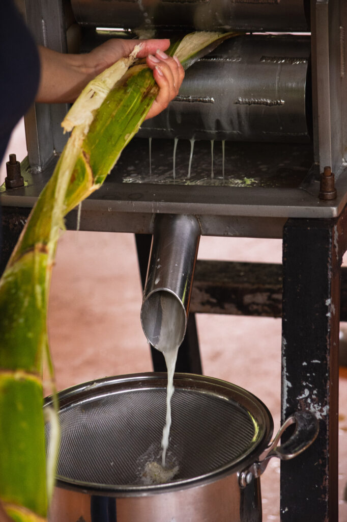 Fresh sugarcane juice running from the press into a pot