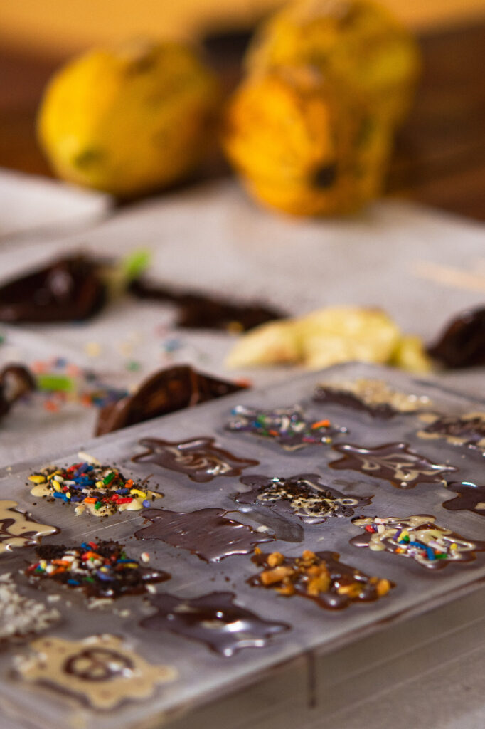Finished handmade chocolate pieces alongside fresh cacao pods
